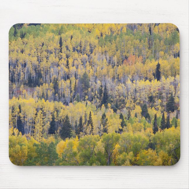 Mousepad Rio Provo e árvores de álamo (Frente)
