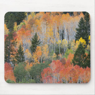 Mousepad Rio Provo e árvores de álamo