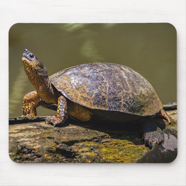 Mousepad Rio Turtle em Tortuguero - Costa Rica (Frente)