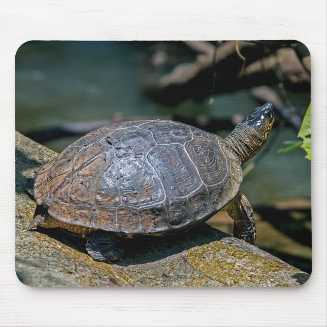 Mousepad Rio Turtle em Tortuguero - Costa Rica (Frente)