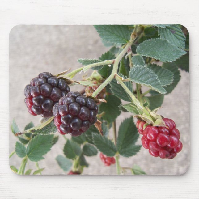 Mousepad Ripe Blackberry (Frente)