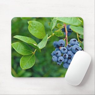Mousepad Ripe Blueberry Em Bush