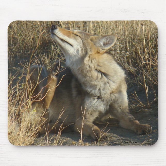 Mousepad Risco do chacal R17 (Frente)