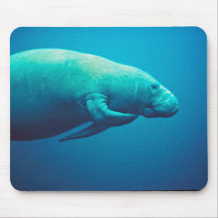 Mousepad Risco do peixe-boi
