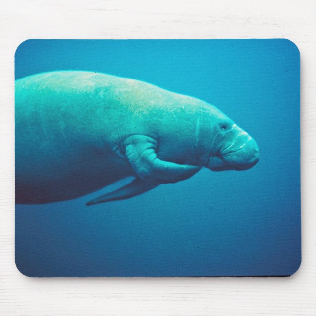 Mousepad Risco do peixe-boi (Frente)