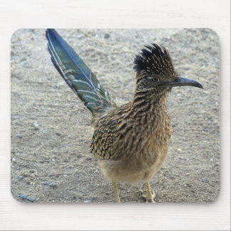 Mousepad Roadrunner