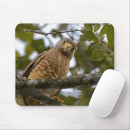 Mousepad Roadside Hawk, Fotografia Aviária da Vida Selvagem