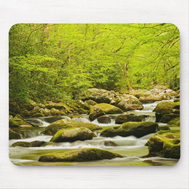 Mousepad Roaring Fork na Primavera (Frente)
