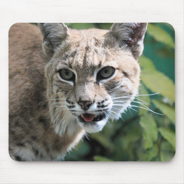 Mousepad Robert J.Bobcat (Frente)