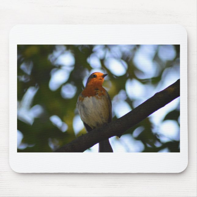 Mousepad Robin (Frente)