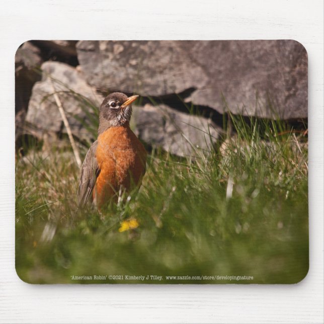 Mousepad Robin Americano (Frente)