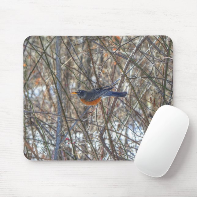 Mousepad Robin Americano (Com mouse)