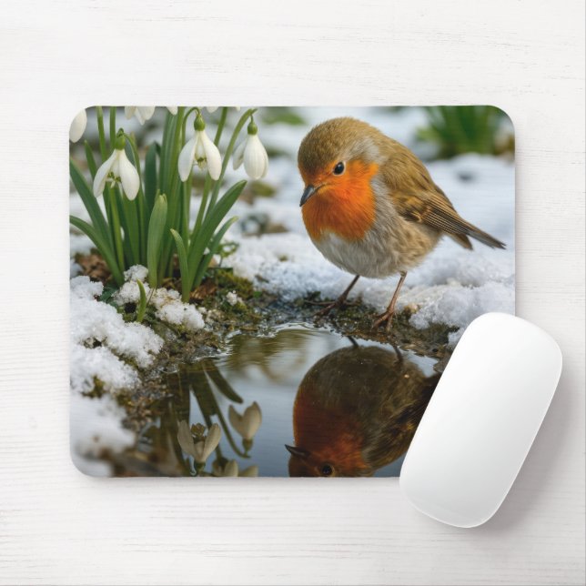 Mousepad Robin Em Um Jardim Na Primavera (Com mouse)