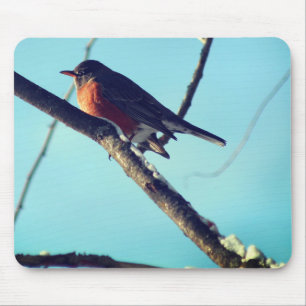 Mousepad Robin In Snow Wildlife Nature 