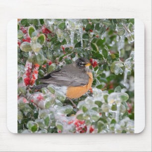Mousepad Robin no Natal