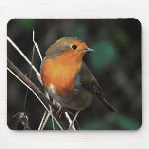 Mousepad Robin Sendo Brilhante Em Uma Arte Acrílica De Dia 