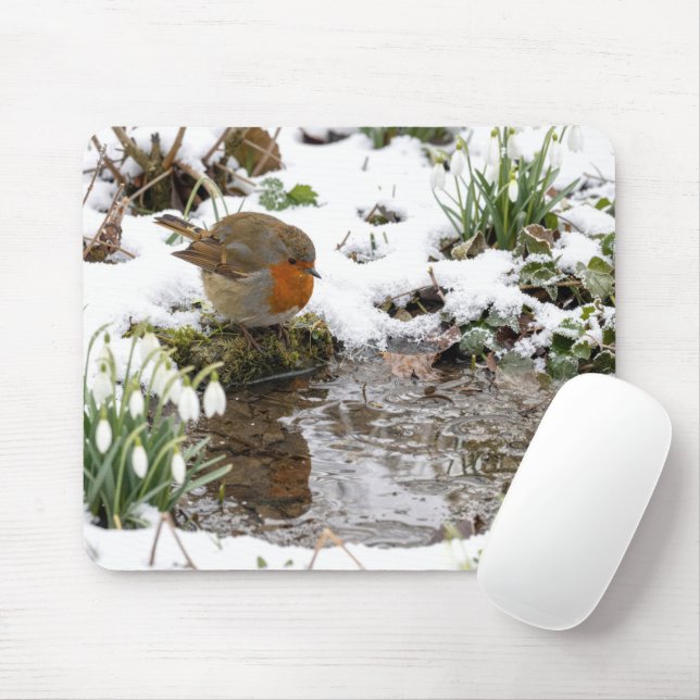 Mousepad Robin Staring at its Reflection in Puddle (Com mouse)