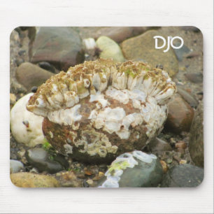 Mousepad Rocha da praia do Mohawk do Barnacle