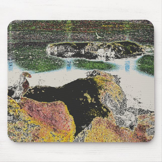 Mousepad rochas do pássaro (Frente)