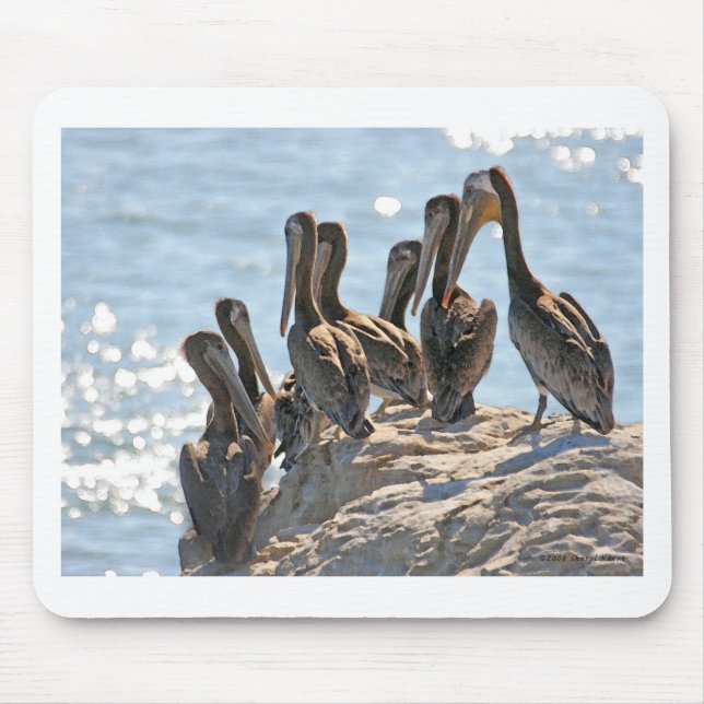 Mousepad Rock Pelicano (Frente)