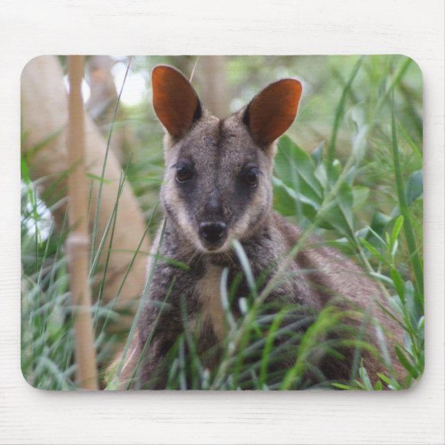 Mousepad Rock Wallaby (Frente)