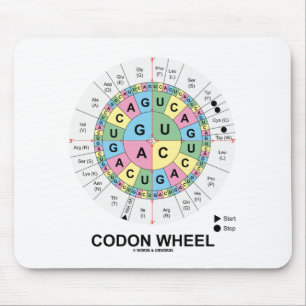 Mousepad Roda do Codon (ácidos aminados dos Codons do RNA)