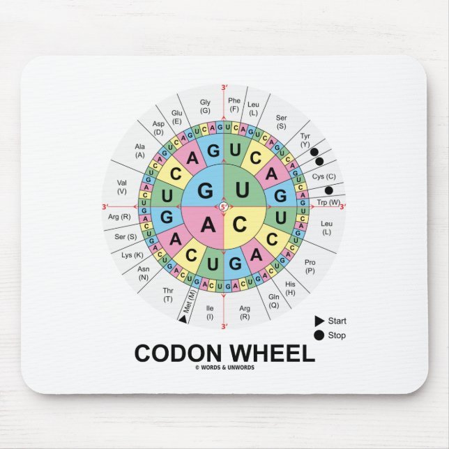 Mousepad Roda do Codon (ácidos aminados dos Codons do RNA) (Frente)