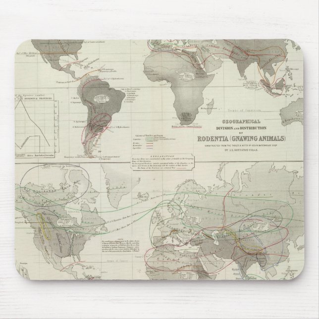 Mousepad Rodentia, Ruminantia (Frente)