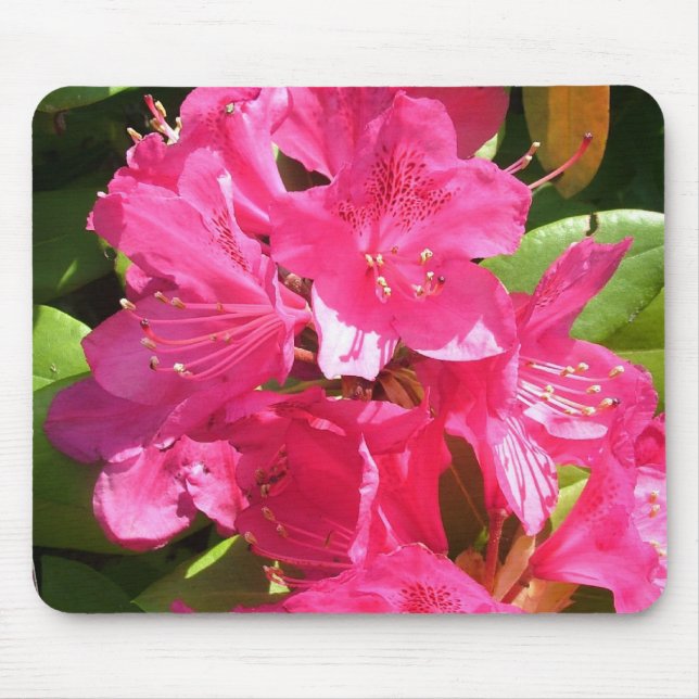 Mousepad rododendro rosa (Frente)