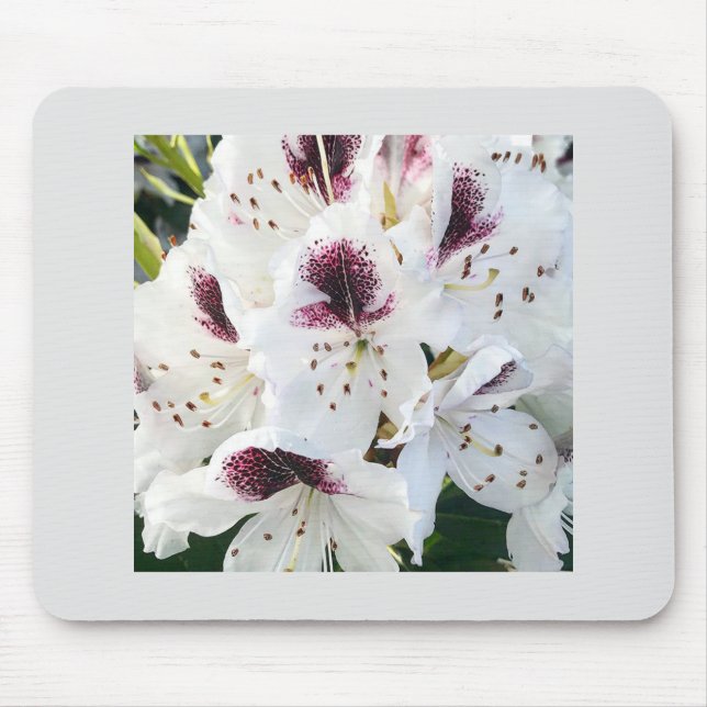 Mousepad Rododendros Calsap (Frente)