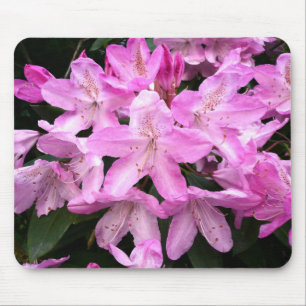 Mousepad Rododendros III