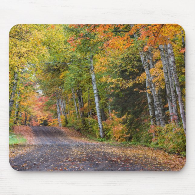 Mousepad Rodovia Gravel De Folha Com Cor De Outono (Frente)