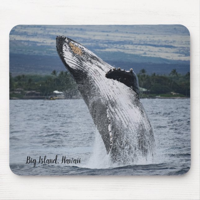 Mousepad Rompimento da baleia de Humpback (Frente)