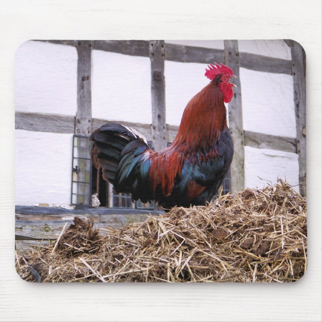 MOUSEPAD ROOSTER (Frente)