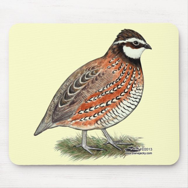 Mousepad Rooster Bobwhite Quail (Frente)
