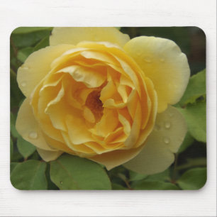 Mousepad Rosa Amarela