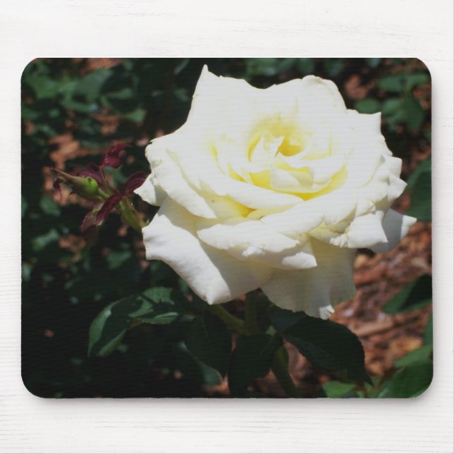Mousepad Rosa Amarela Pálida (Frente)