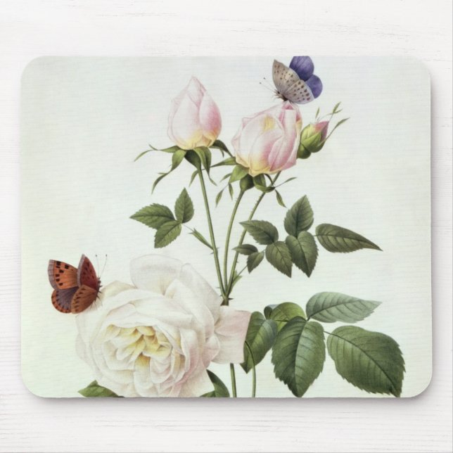 Mousepad Rosa: Bengale o Hymenes, 'dos rosas de Les (Frente)