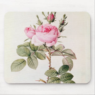 Mousepad Rosa Bifera Officinalis, 'dos rosas de Les