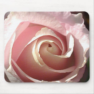 Mousepad Rosa bonito do rosa