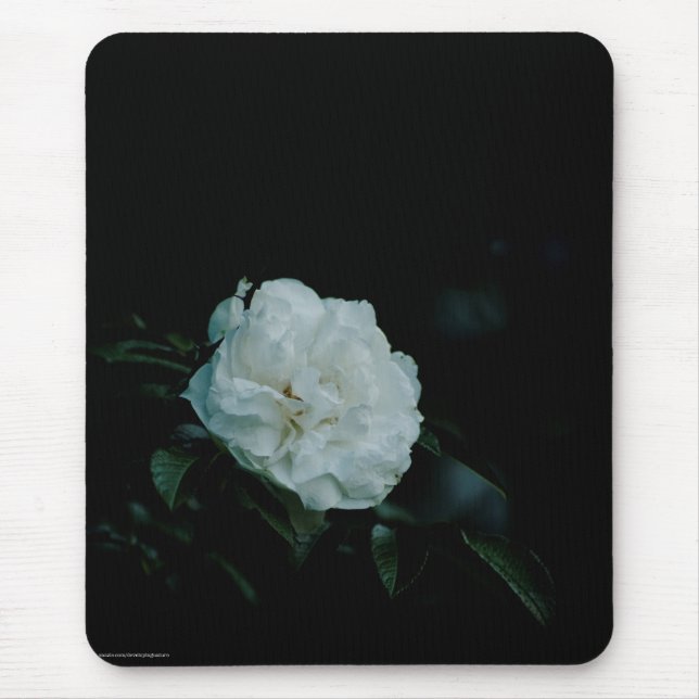 Mousepad Rosa branca (Frente)