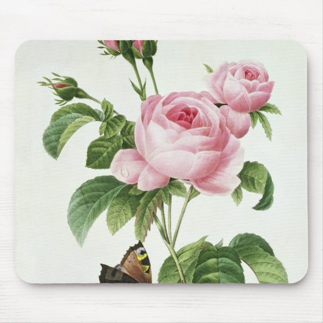 Mousepad Rosa Centifolia (Frente)