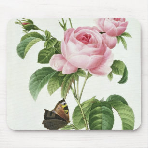 Mousepad Rosa Centifolia