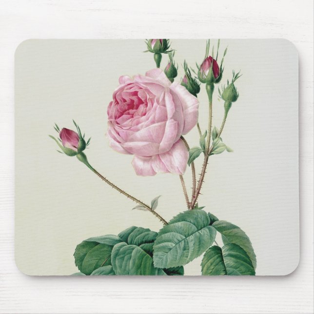 Mousepad Rosa Centifolia Bullata (Frente)