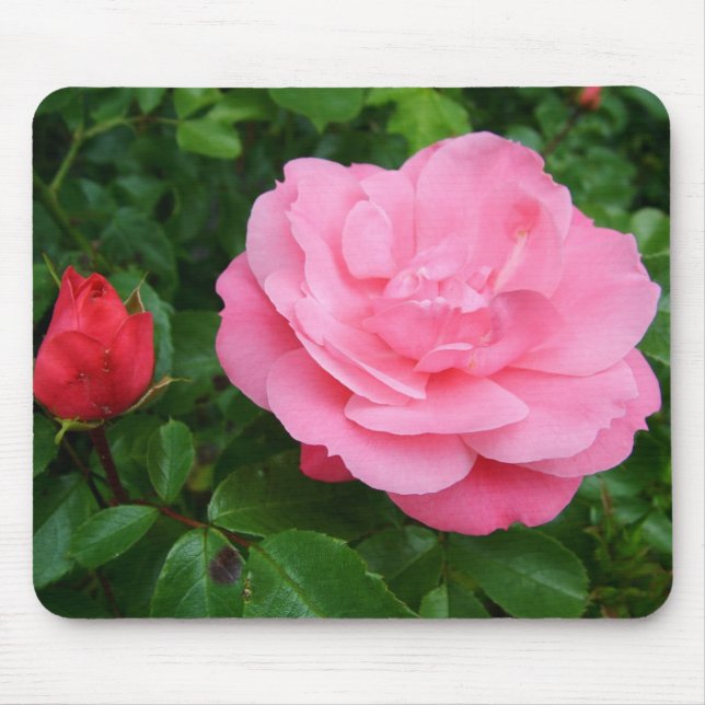 Mousepad rosa cor-de-rosa (Frente)