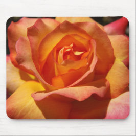 Mousepad Rosa Cor-de-rosa e laranja