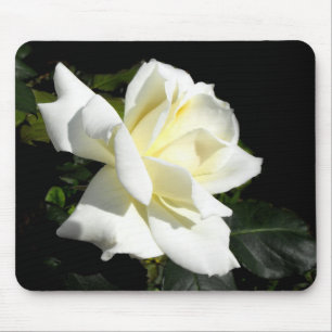 Mousepad rosa de chá híbrido branco Pascali