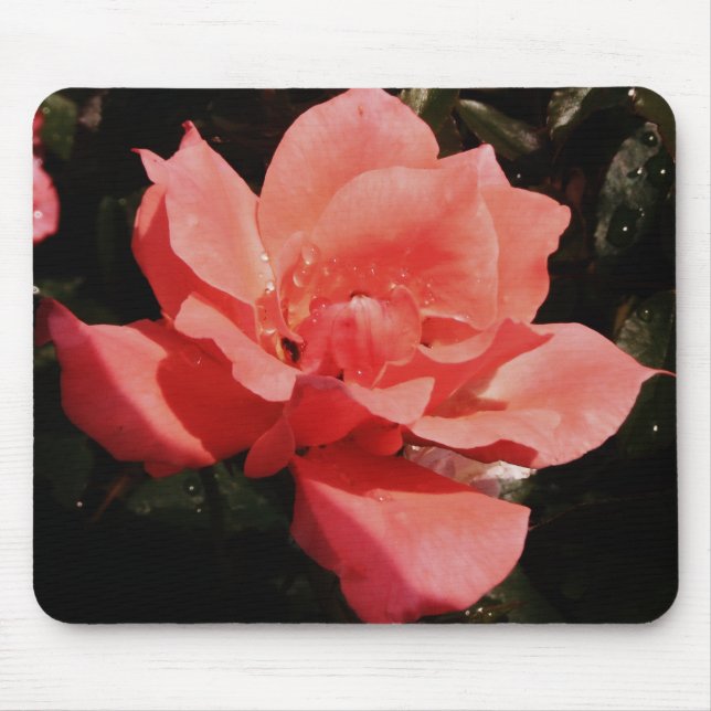 Mousepad rosa de pêssego e colírio (Frente)