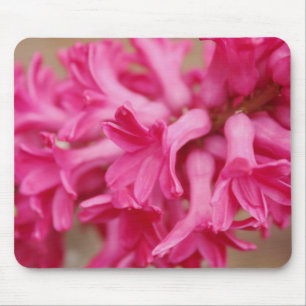 Mousepad Rosa do jacinto