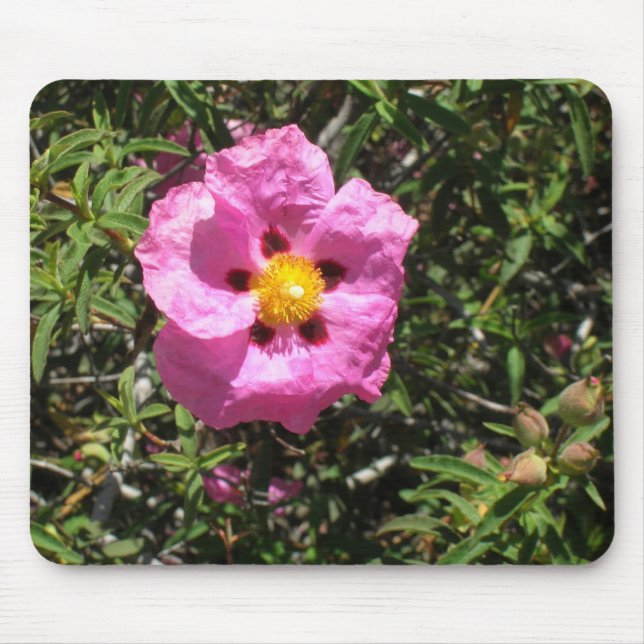 Mousepad - Rosa do Rock Mexicano (Frente)